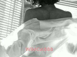 WildCat888