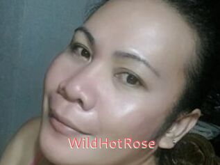 WildHotRose