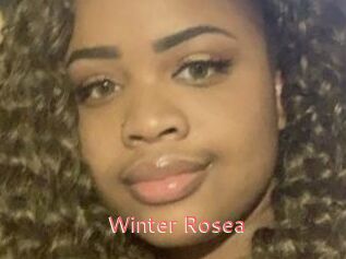 Winter_Rosea