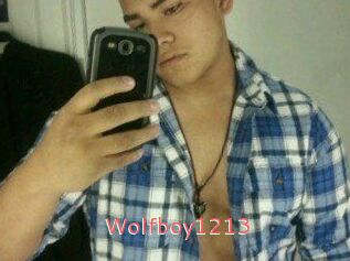 Wolfboy1213