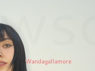 Wandagallamore
