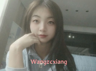 Wangzcxiang