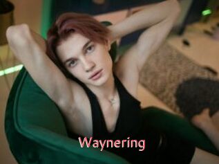 Waynering