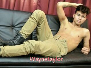Waynetaylor
