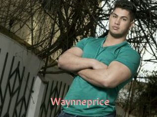 Waynneprice