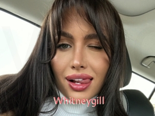 Whitneygill