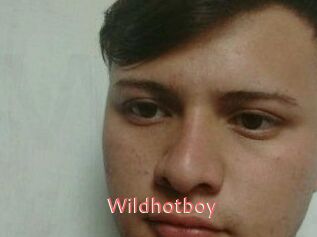 Wild_hotboy