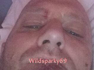 Wildsparky69
