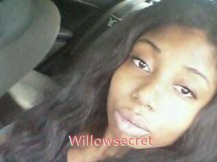 Willow_secret