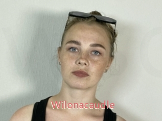 Wilonacaudle