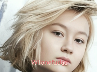 Wilonefudge