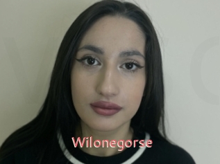 Wilonegorse