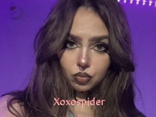 Xoxospider