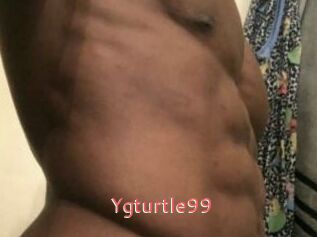 Ygturtle99