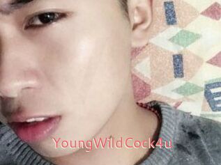 YoungWildCock4u Webcam Sexe Direct