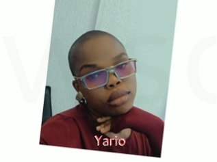 Yario