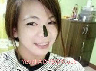 YourLADYBOYcock