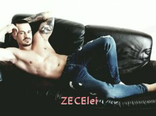 ZECElei