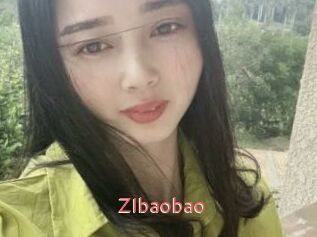 ZIbaobao