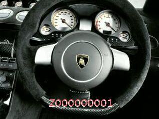 Z000000001