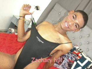 Zachary_hill