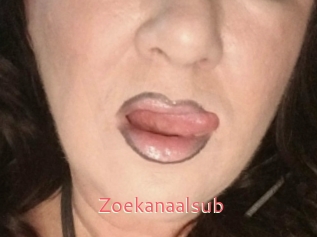 Zoekanaalsub