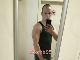 Zsomb95